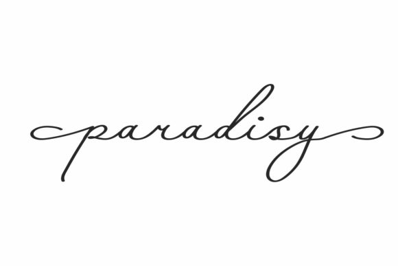Paradisy Script Font for Editorial Design and Branding