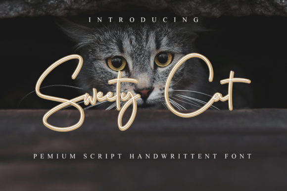 Sweety Cat: Elegant Script Handwritten Font for Designers