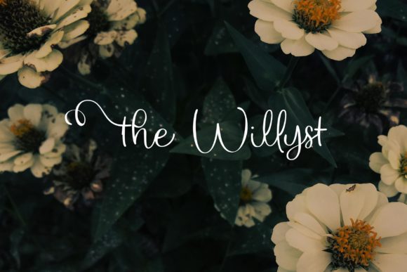 The Willyst: A Sophisticated Script Handwritten Font for Small Business Branding